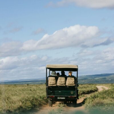 Faceless tourist riding on car through meadow